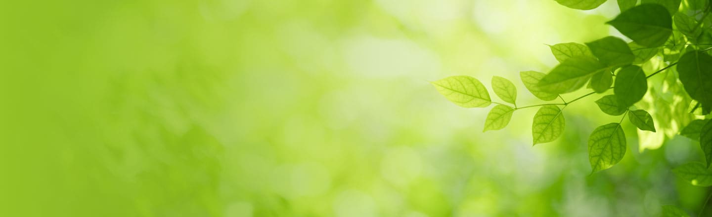 aldaba sl reduciendo la huella de carbono